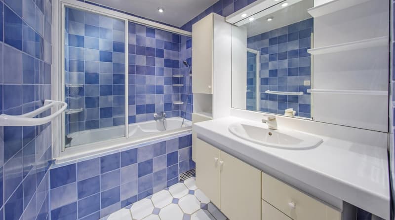 Florissant - appartement traversant (12)