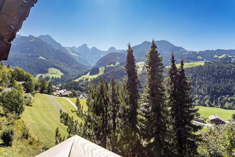 Magnifique Chalet avec une très belle vue! (3)