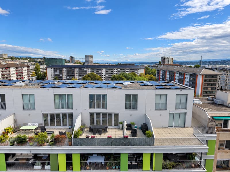 Magnifique attique en duplex avec 79 m² de terrasses au Petit-Saconnex (5)
