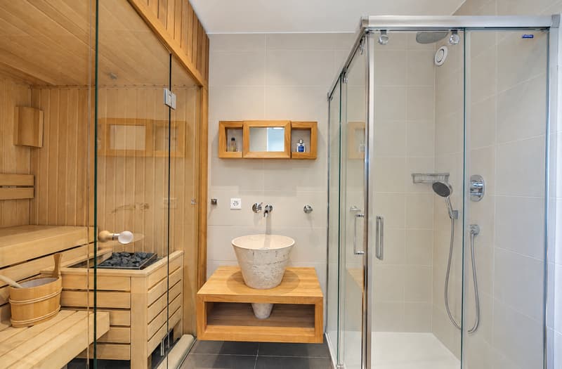 Magnifique attique en duplex avec 79 m² de terrasses au Petit-Saconnex (11)
