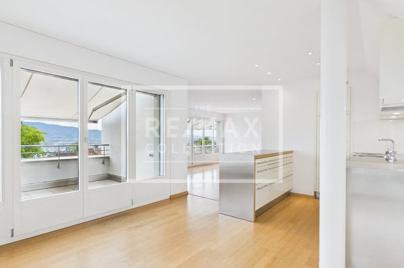 2.5 Zimmer Attikawohnung und zusätzliches Studio am Zürichberg (2)