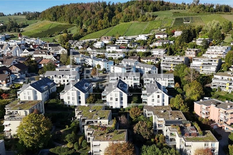 3.5 Zimmer Gartenwohnung mit Weitsicht und beheiztem Disporaum (11)