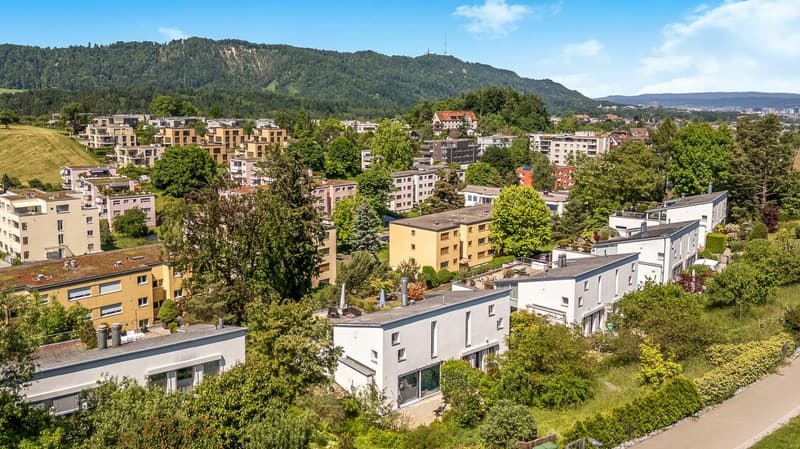 Dans cette maison, la lumière est chez elle, entourée d'un jardin idyllique (21)