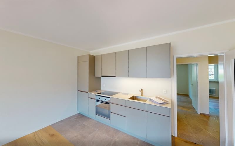 Ihre 3.5 Zi.- Ferienwohnung -Alles neu, alles nah! (2)