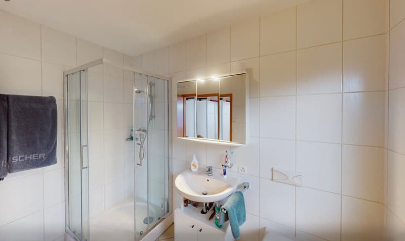 Casa Ernesto"- Ferienhaus mit Logenplatz am Lago Maggiore (18)