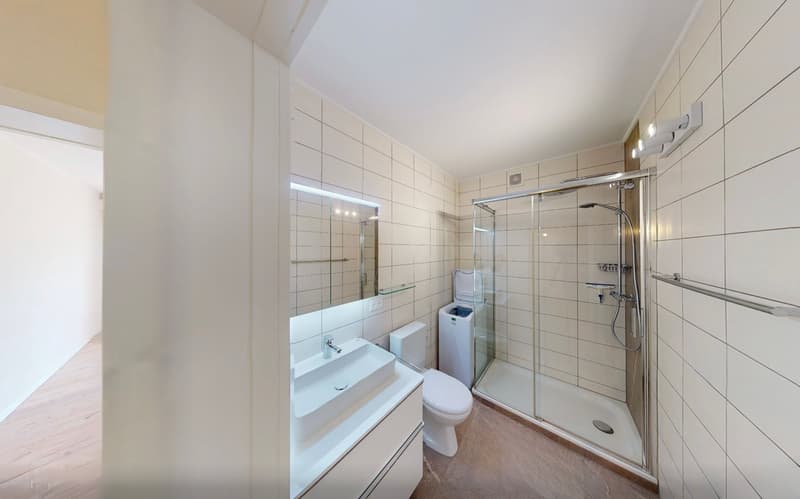 hre 3.5 Zi.- Ferienwohnung -Alles neu, alles nah! (11)