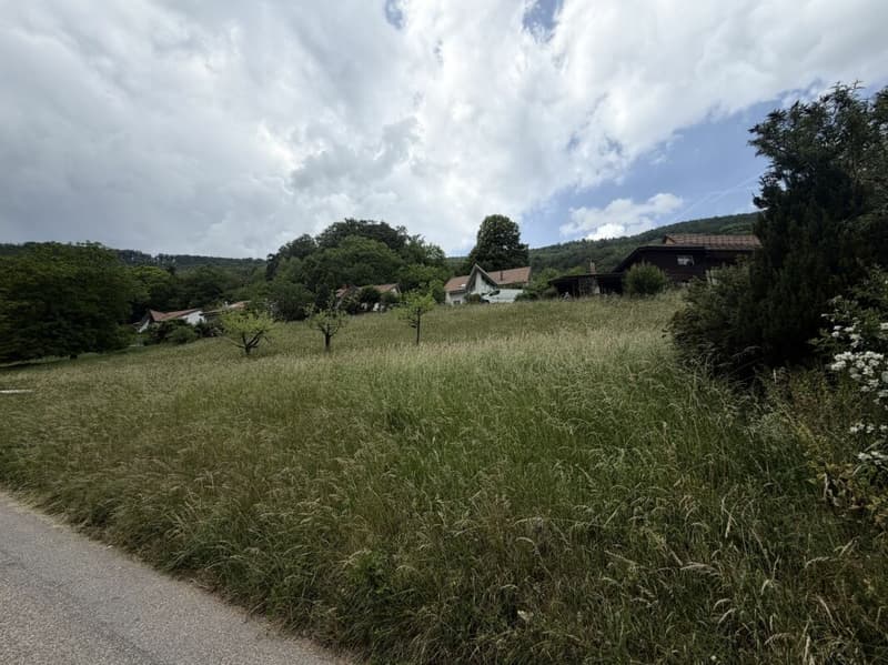 Seltene Gelegenheit: Wohnhaus mit Ökonomieteil und Baulandreserve auf 1'752 m² in Lostorf (10)