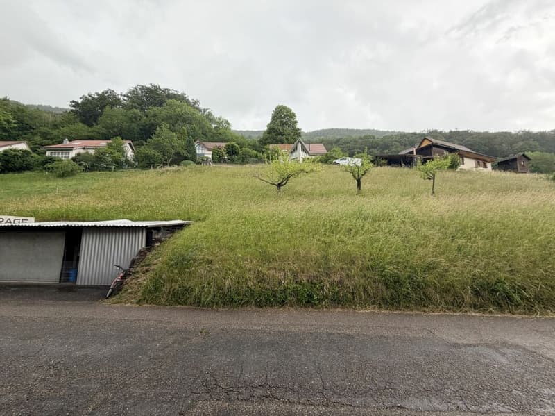 Seltene Gelegenheit: Wohnhaus mit Ökonomieteil und Baulandreserve auf 1'752 m² in Lostorf (8)