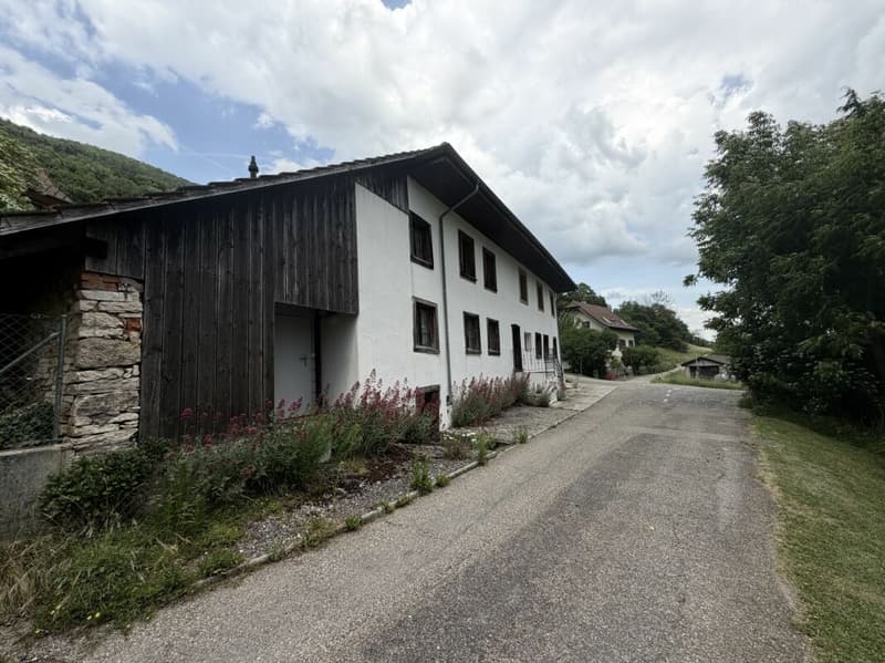 Seltene Gelegenheit: Wohnhaus mit Ökonomieteil und Baulandreserve auf 1'752 m² in Lostorf (9)