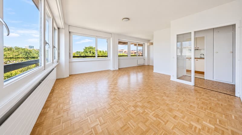 Charmante 4-Zimmer-Wohnung mit Balkon und schöner Aussicht in Birsfelden (1)