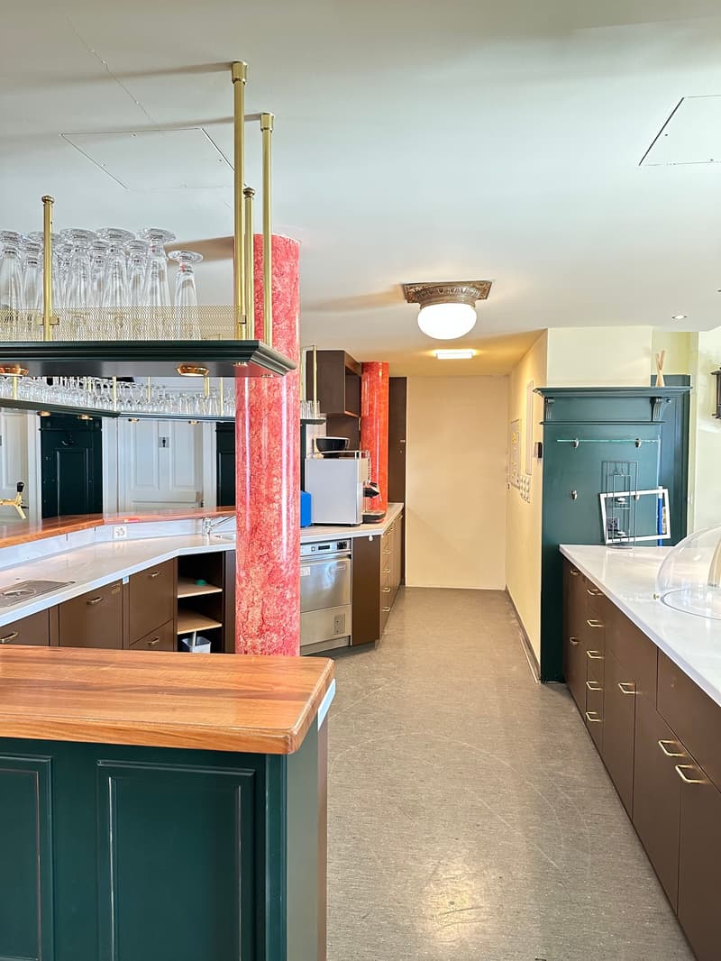 Countertops, wooden cabinets, appliances, shelves, ceiling design, light fixtures