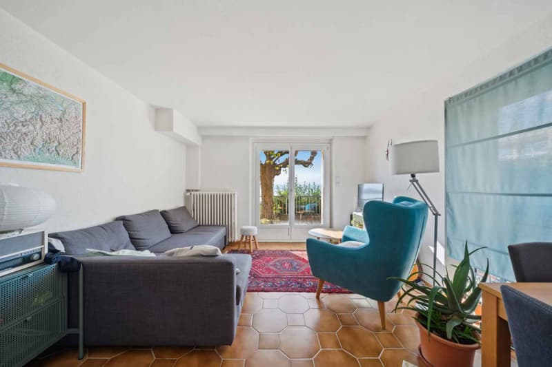 En exclusivité - Charmant appartement de 3,5 pièces avec terrasse et vue panoramique (4)
