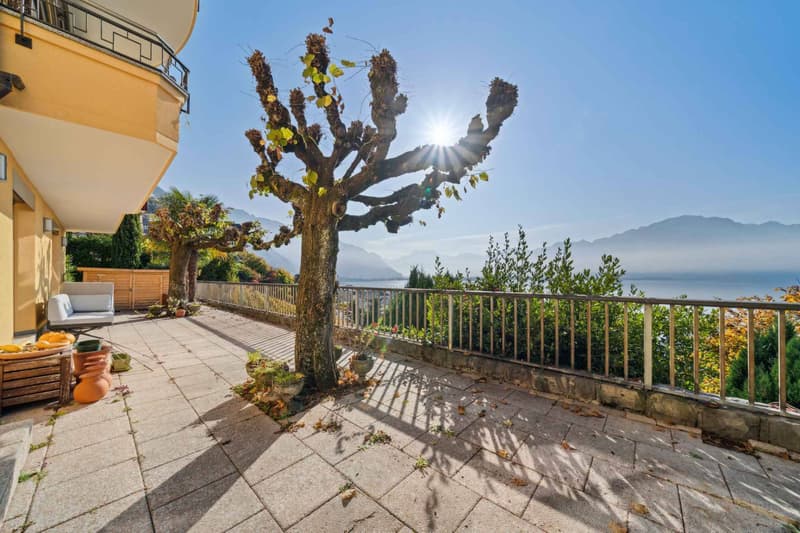 En exclusivité - Charmant appartement de 3,5 pièces avec terrasse et vue panoramique (3)