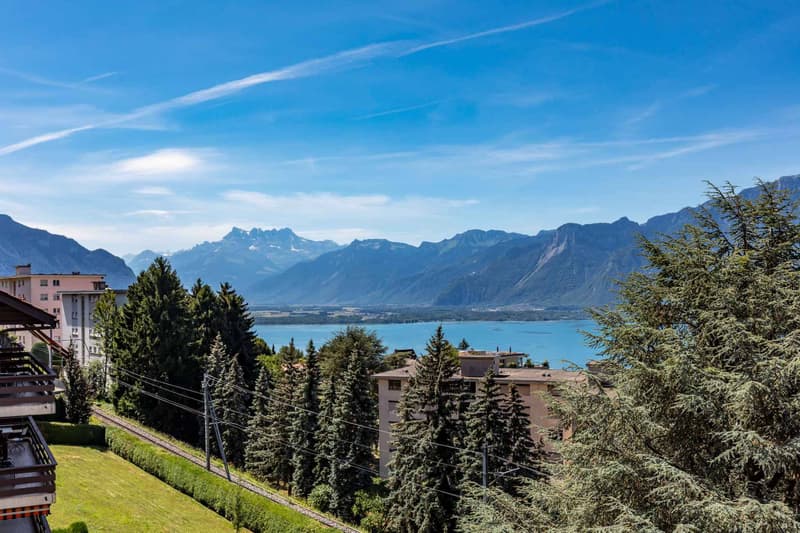 Spacieux 4.5 pièces au calme avec vue lac (8)