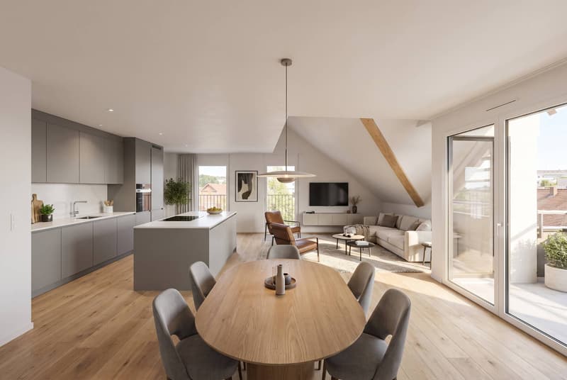 Un duplex neuf d'exception sous les combles (1)