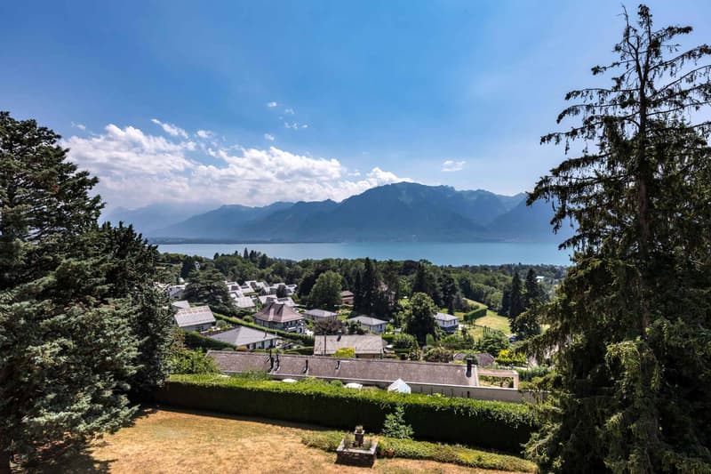 Appartement de 3.5 au dernier étage avec vue sur le lac (2)