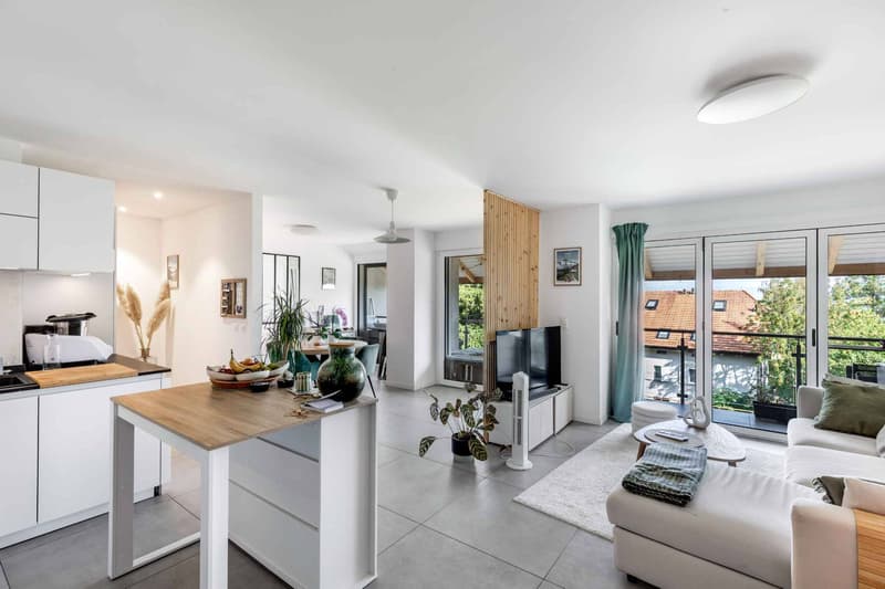 Duplex contemporain rénové avec vue sur le Léman et les Alpes (1)