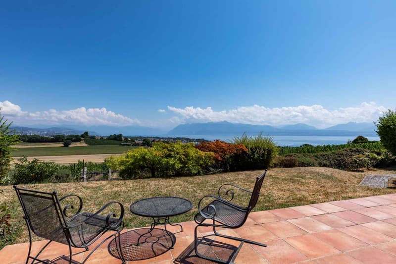 Un panorama à perte de vue sur le Léman et les Alpes (2)