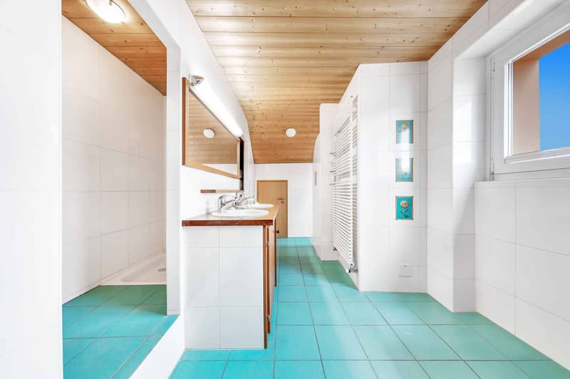 Salle de douche avec WC en suite