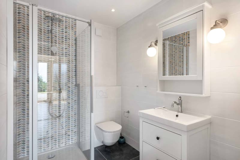 Salle de douche avec WC