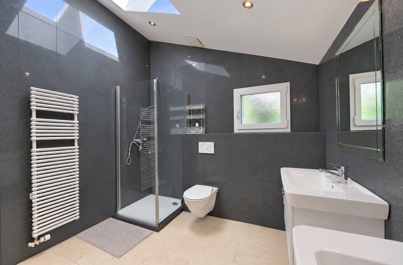 Salle de douche avec WC