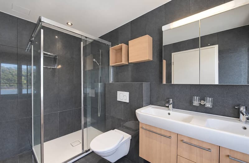 Salle de douche avec WC