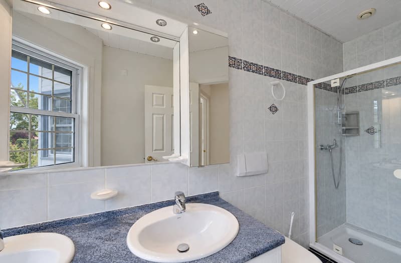 Salle de douche avec WC