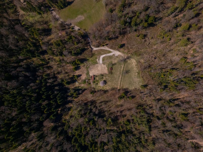 NOBILES NATURJUWEL: 5,15 ha ANWESEN 100% AUTARK bewilligtes Bauprojekt, Wiese / Wald / Bach / Teich (29)