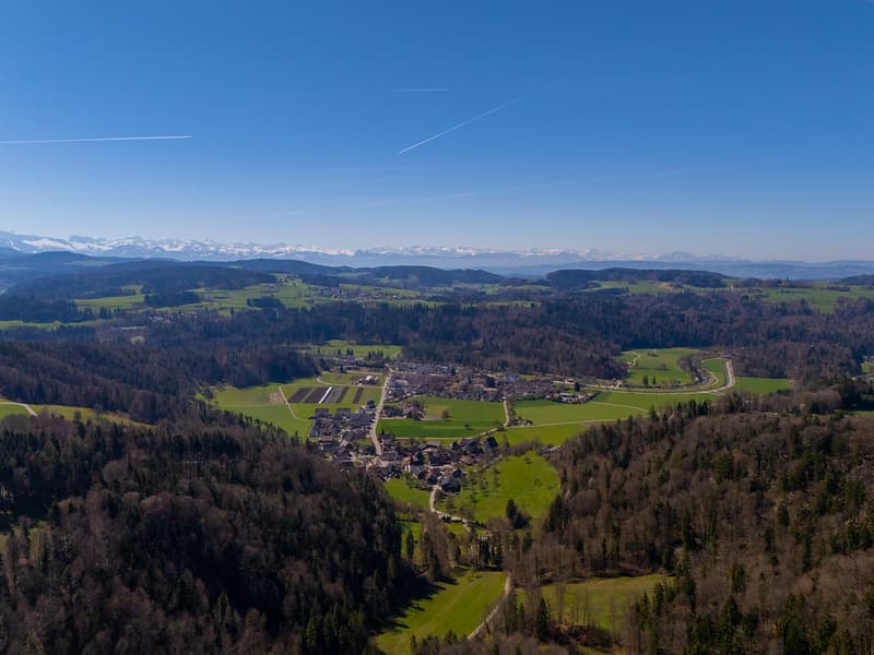 NOBILES NATURJUWEL: 5,15 ha ANWESEN 100% AUTARK bewilligtes Bauprojekt, Wiese / Wald / Bach / Teich (34)