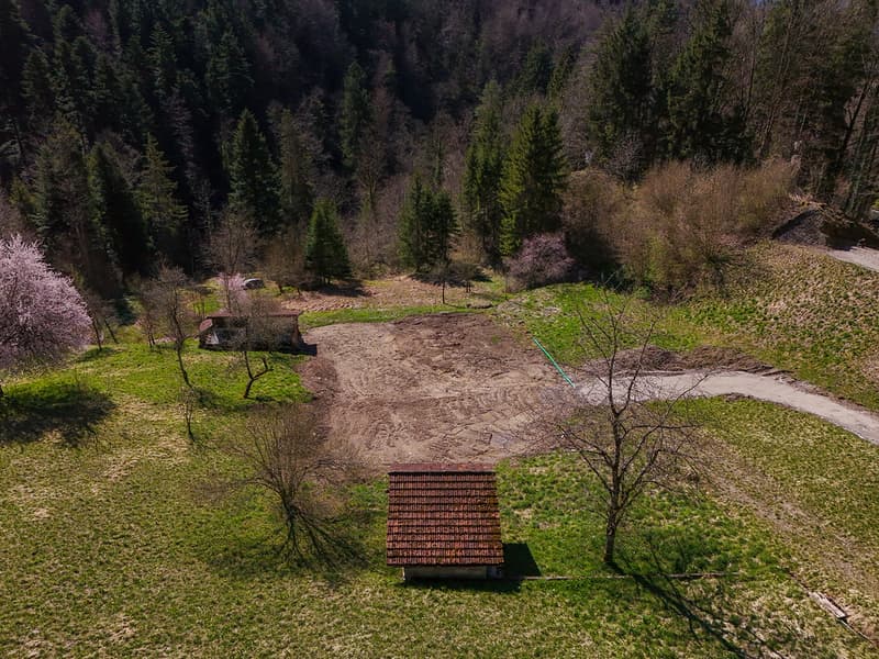 NOBILES NATURJUWEL: 5,15 ha ANWESEN 100% AUTARK bewilligtes Bauprojekt, Wiese / Wald / Bach / Teich (25)
