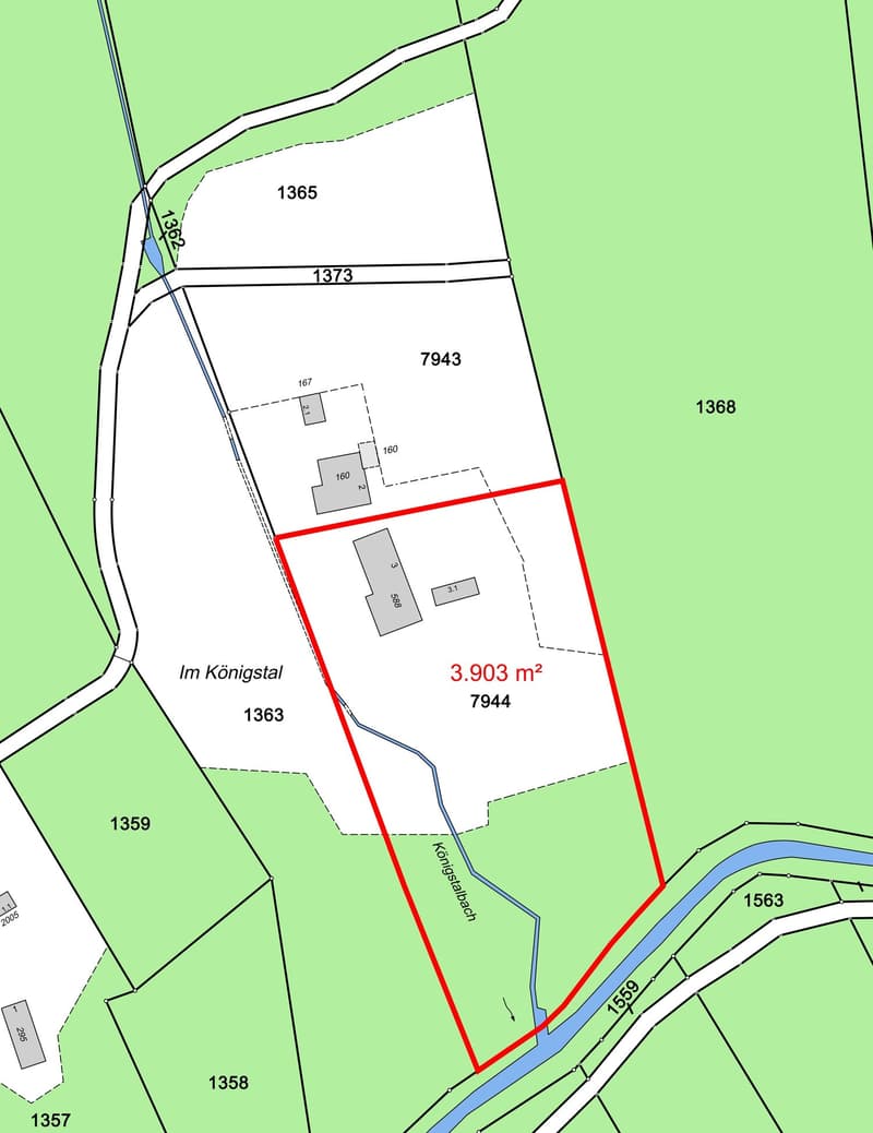 NATURAL JEWEL: 3,903 m² meadow with 1 approved house & small animal barn, 100% self-sufficient, natural woodland clearing (7)