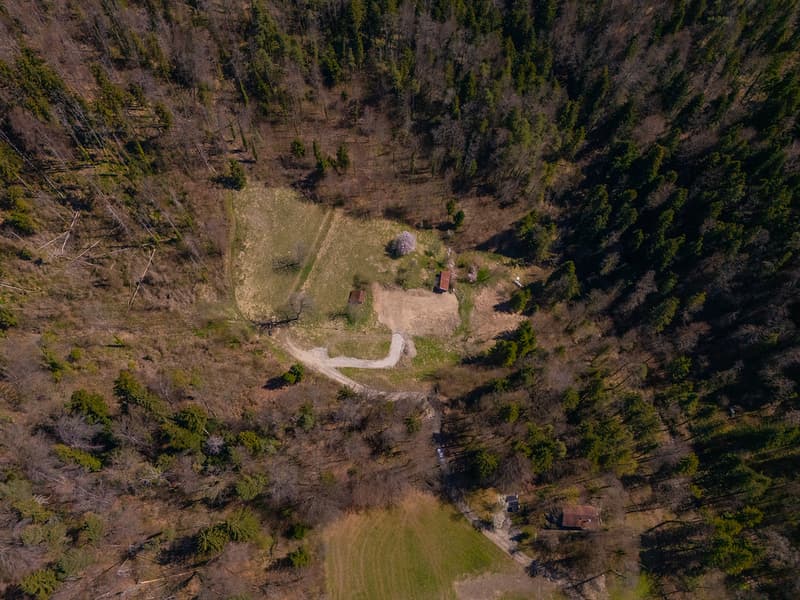 NATURAL JEWEL: 3,903 m² meadow with 1 approved house & small animal barn, 100% self-sufficient, natural woodland clearing (25)