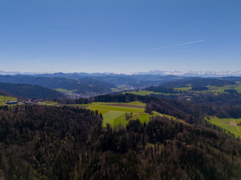NATURAL JEWEL: 3,903 m² meadow with 1 approved house & small animal barn, 100% self-sufficient, natural woodland clearing (28)