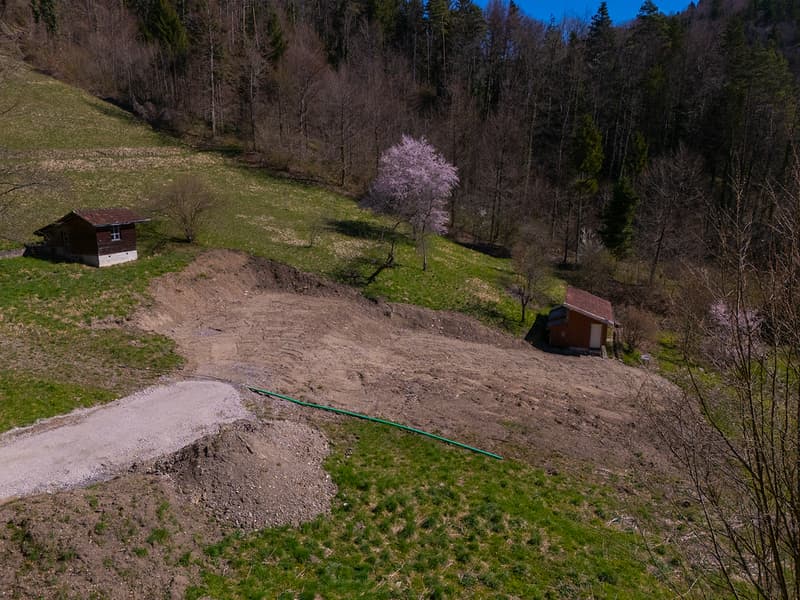 NATURAL JEWEL: 3,903 m² meadow with 1 approved house & small animal barn, 100% self-sufficient, natural woodland clearing (22)