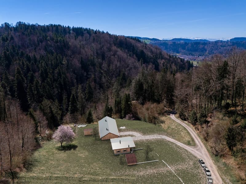 NATURAL JEWEL: 3,903 m² meadow with 1 approved house & small animal barn, 100% self-sufficient, natural woodland clearing (2)