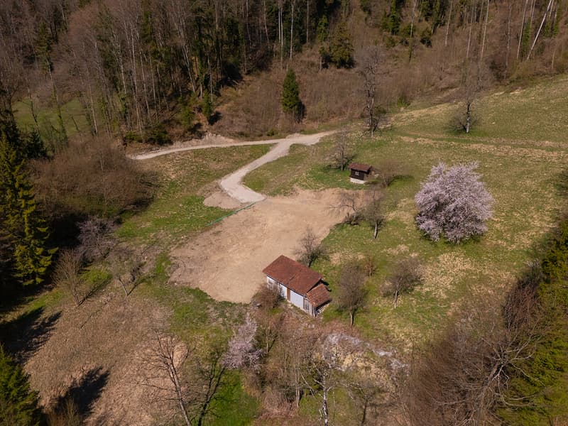 NATURAL JEWEL: 3,903 m² meadow with 1 approved house & small animal barn, 100% self-sufficient, natural woodland clearing (21)
