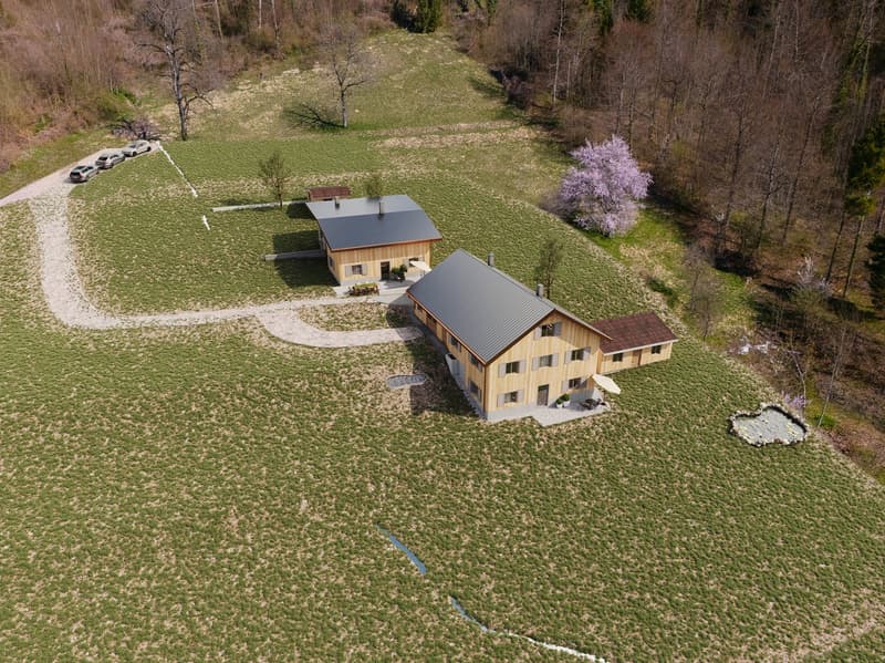 NATURAL JEWEL: 3,903 m² meadow with 1 approved house & small animal barn, 100% self-sufficient, natural woodland clearing (1)