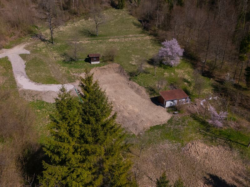 NATURAL JEWEL: 3,903 m² meadow with 1 approved house & small animal barn, 100% self-sufficient, natural woodland clearing (19)