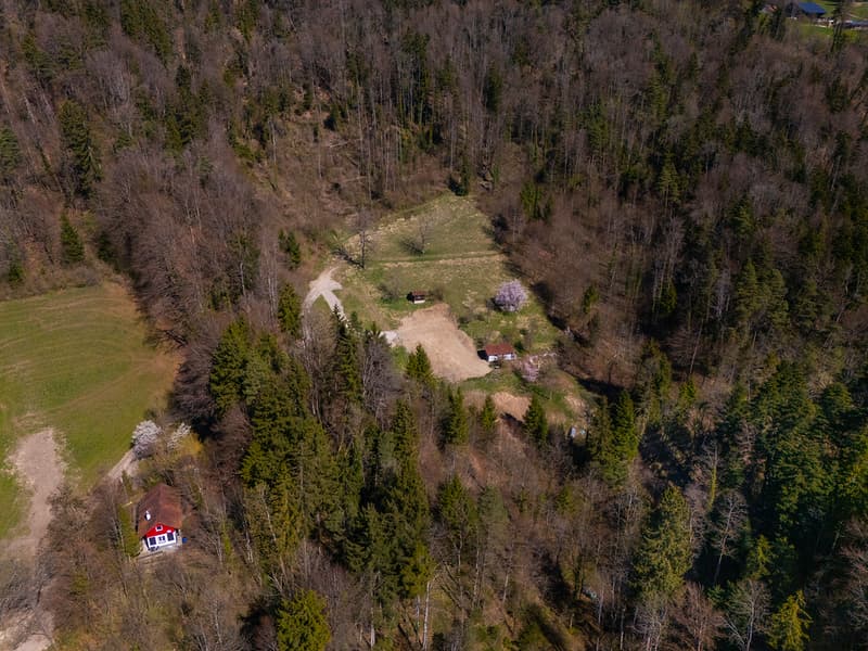 NATURAL JEWEL: 3,903 m² meadow with 1 approved house & small animal barn, 100% self-sufficient, natural woodland clearing (23)