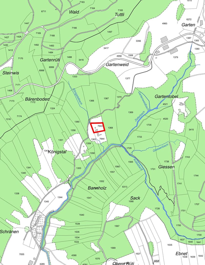 NATURJUWEL: 2'136m² Wiese, mit 1 bewilligtem Haus, 100% autark, Natur pur Waldlichtung (6)