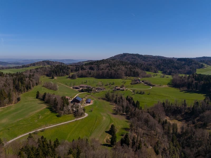 NATURJUWEL: 2'136m² Wiese, mit 1 bewilligtem Haus, 100% autark, Natur pur Waldlichtung (28)