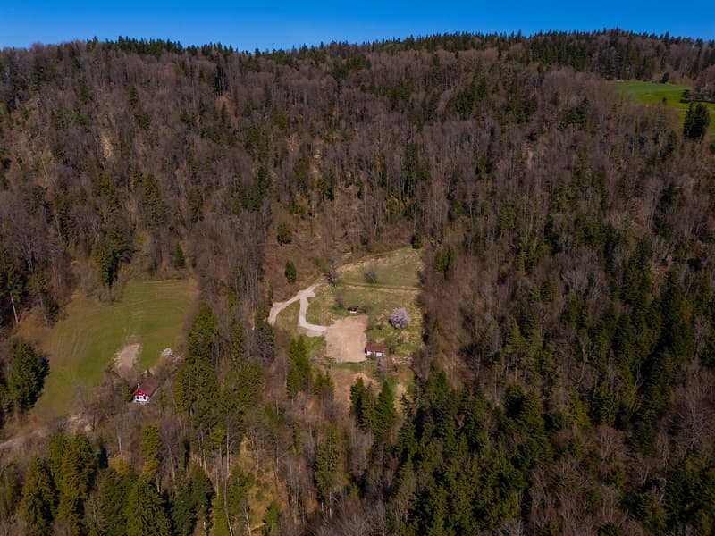 NATURJUWEL: 2'136m² Wiese, mit 1 bewilligtem Haus, 100% autark, Natur pur Waldlichtung (27)