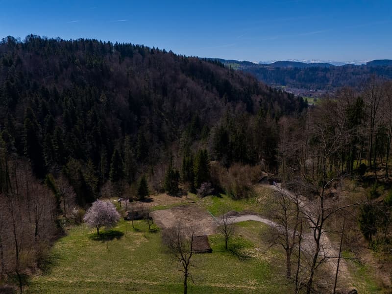 NATURJUWEL: 2'136m² Wiese, mit 1 bewilligtem Haus, 100% autark, Natur pur Waldlichtung (31)
