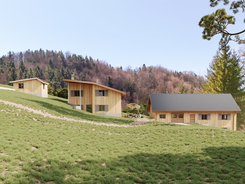 NATURJUWEL: 2'136m² Wiese, mit 1 bewilligtem Haus, 100% autark, Natur pur Waldlichtung (3)