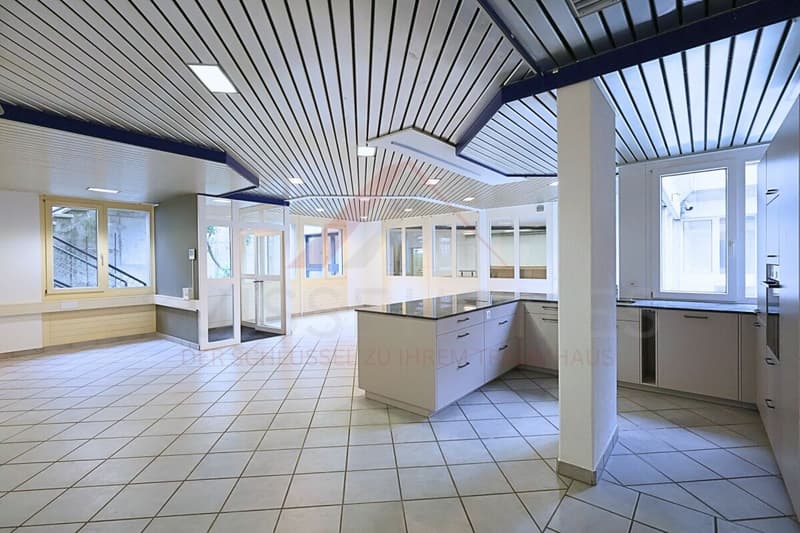 Living and working combined - Atrium building with 220 m² living and 270 m² commercial space in Thörishaus (10)