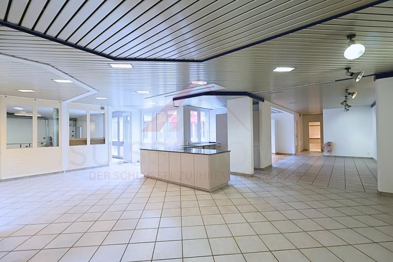 Living and working combined - Atrium building with 220 m² living and 270 m² commercial space in Thörishaus (9)