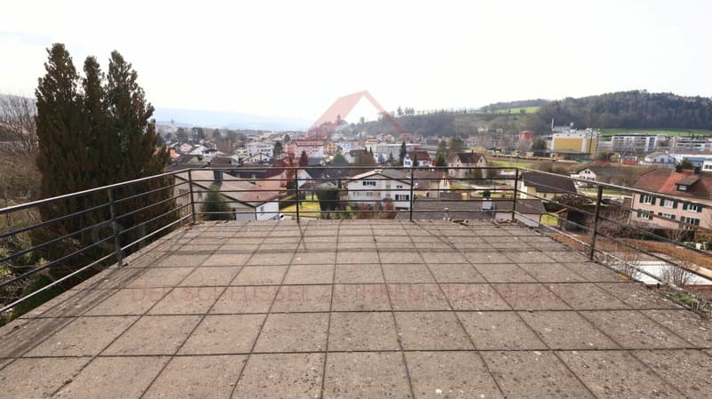 Maison 4.5 pièces pleine de charme avec vue panoramique sur le château et deux terrasses (27)