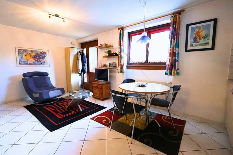 Porrentruy - Belle villa spacieuse avec piscine, jacuzzi et logement indépendant (22)