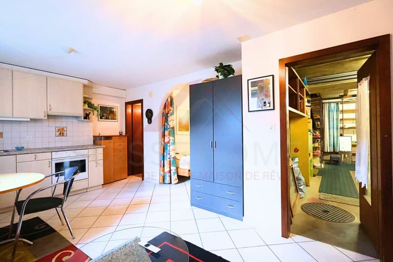 Porrentruy - Belle villa spacieuse avec piscine, jacuzzi et logement indépendant (21)