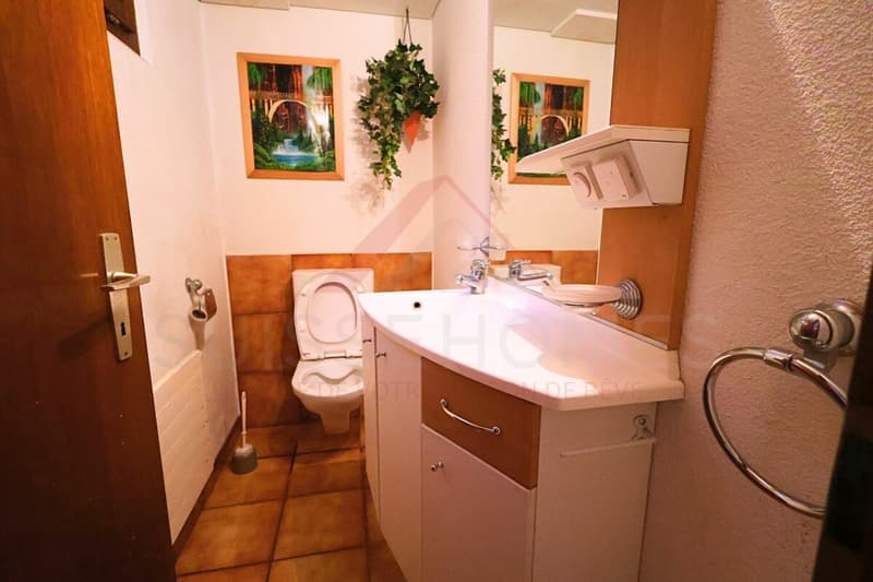 Porrentruy - Belle villa spacieuse avec piscine, jacuzzi et logement indépendant (25)